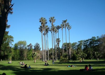 Jardín_Botánico_de_Montevideo2