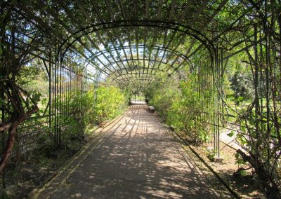 Jardín_Botánico_de_Montevideo3